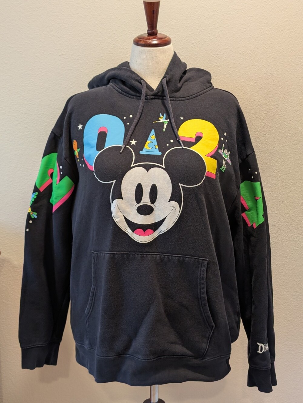 Disneyland 2024 Adult Hoodie XL